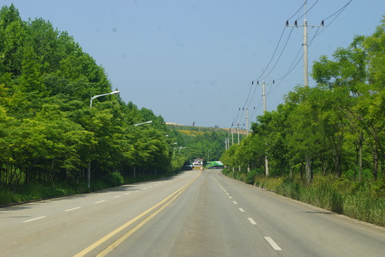수도권매립지 2매립장으로 접근하는 도로. 도로 끝 정면으로 보이는 곳이 높이 40m의 2매립장이다. 도로 양쪽으로는 지난 20여년 동안 자란 나무가 숲을 이루고 있다. 강찬수 기자