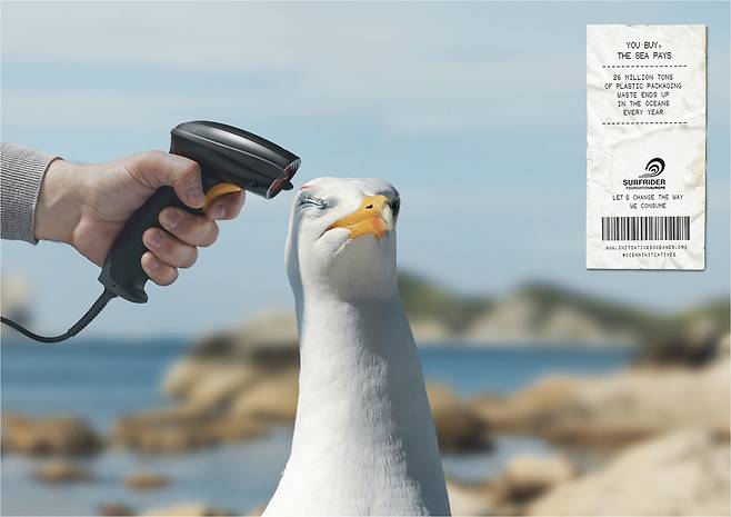 서프라이더 파운데이션 유럽 surfrider.eu 제공
