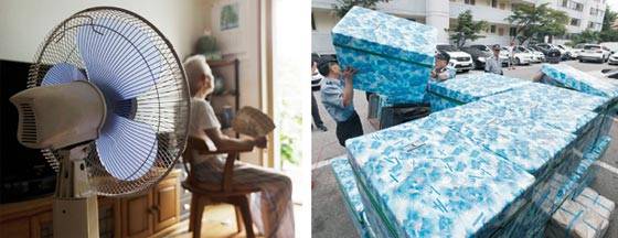 정전에 선풍기도 스톱… 냉장고 대신 아이스박스 임시변통 - 25일 전기가 끊긴 서울 노원구 한 아파트의 주민이 집안에서 부채로 더위를 식히고 있다(왼쪽 사진). 이 아파트는 전날인 24일 밤 10시 20분쯤부터 전체 1800세대 중 600세대의 전기가 끊겼다. 전력 복구가 늦어지자 아파트 경비원들은 25일 오전 입주민들이 함께 쓸 수 있는 아이스박스를 전달했다(오른쪽 사진). /김지호 기자·연합뉴스