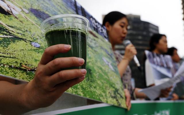 서울환경운동연합 회원들이 2015년 서울 중구 태평로 서울광장에서 한강하류 녹조 발생 원인으로 지목된 신곡수중보의 전면 개방과 철거를 촉구하고 있다. 이종근 기자 root2@hani.co.kr