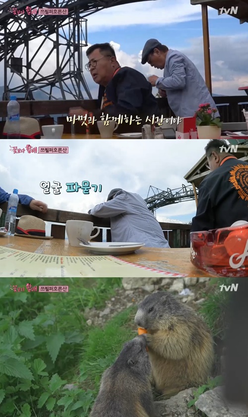 ‘꽃보다 할배’ 이순재 사진=tvN ‘꽃보다 할배’ 캡처
