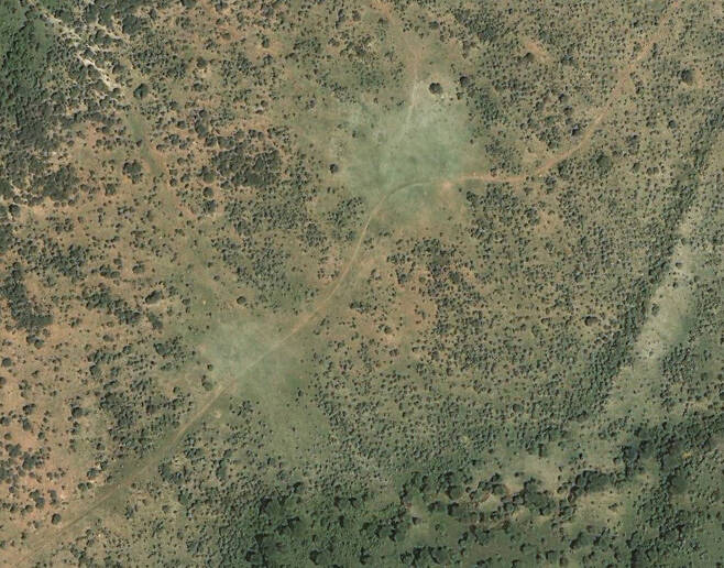 나무가 없는 타원형 초지대가 케냐의 신석기 유목 유적지로, 가축 임시 울타리가 있던 곳이다. 구글 어스 프로 제공.