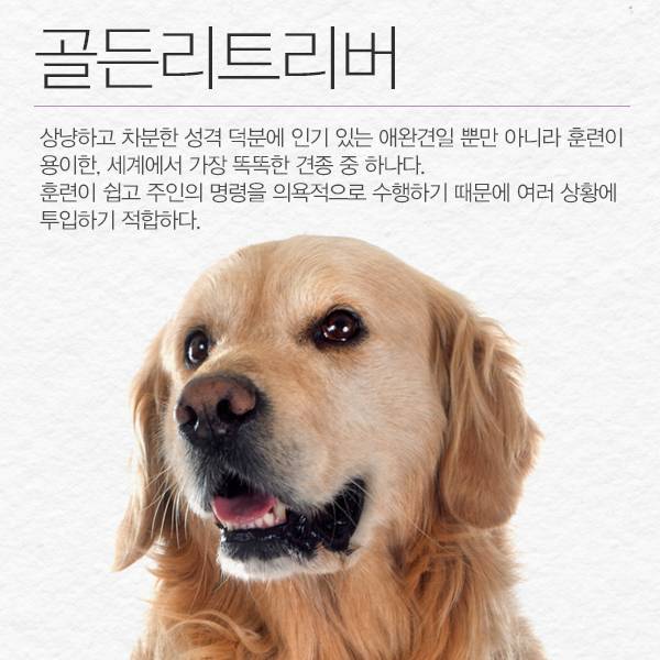 ⓒ데일리안 = 이보라 디자이너