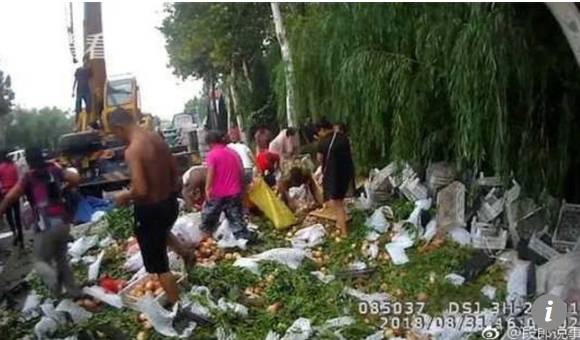트럭에서 쏟아진 복숭아를 훔치는 중국 주민들(사진=사우스차이나모닝포스트)