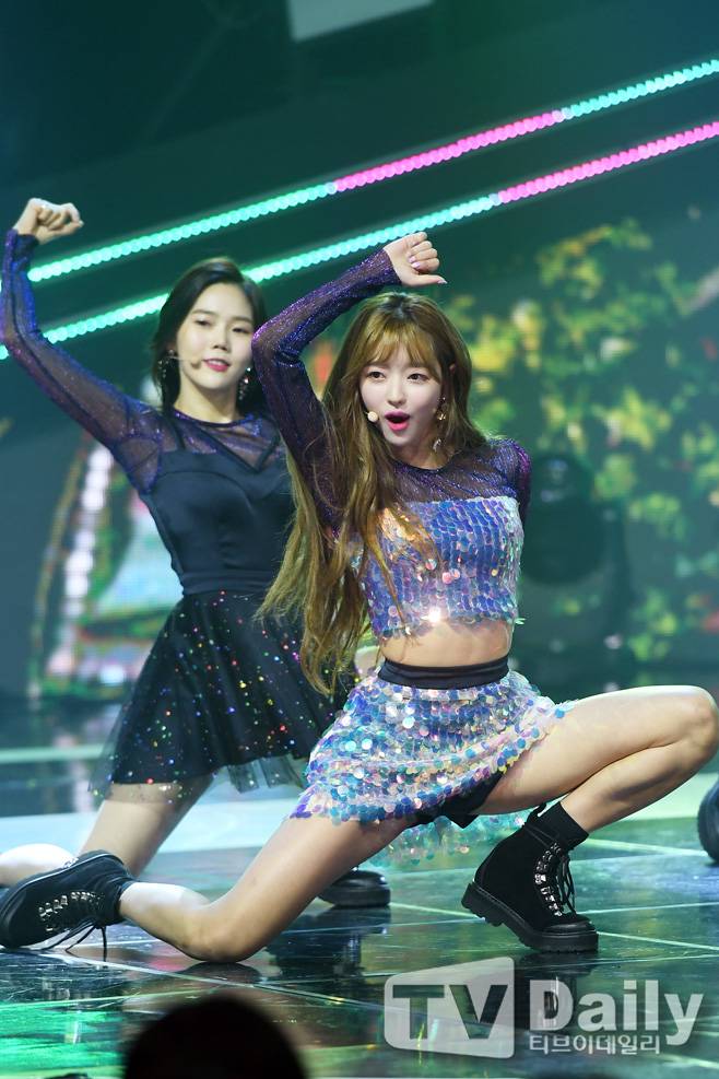 티브이데일리 포토