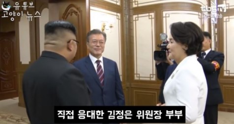 사진=유튜브 고양이뉴스