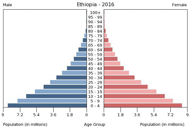 2016년 기준 에티오피아 연령대별 인구 구성.