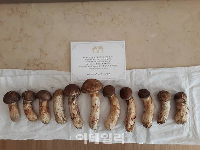 우원식 더불어민주당 의원의 어머니가 문재인 대통령을 통해 받은 김정은 북한 국무위원장의 송이버섯 선물. (사진=우원식 더불어민주당 의원 페이스북)