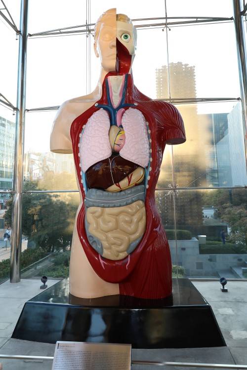 아라리오갤러리에 설치된 데미안허스트의 힘(Hymn). 김정모 기자