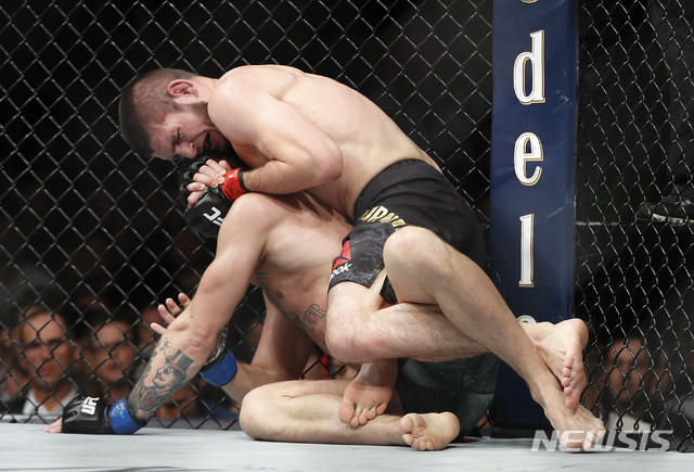 7일 미국 라스베이거스 티모바일 아레나에서 열린 'UFC 229' 라이트급 타이틀전에서 하빕 누르마고메도프(사진 오른쪽)과 코너 맥그리거가 맞붙어 하빕이 승리했다. /사진제공= 뉴시스