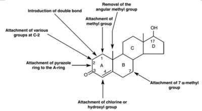 원하는 효과(단백동화)를 극대화시키고, 부작용(예. 여성화)을 최소화하기 위해 테스토스테론의 화학 구조를 다양하게 변화시키면서 여러 종류의 AAS가 개발되었다. 영국약리학회지 제공, 변형