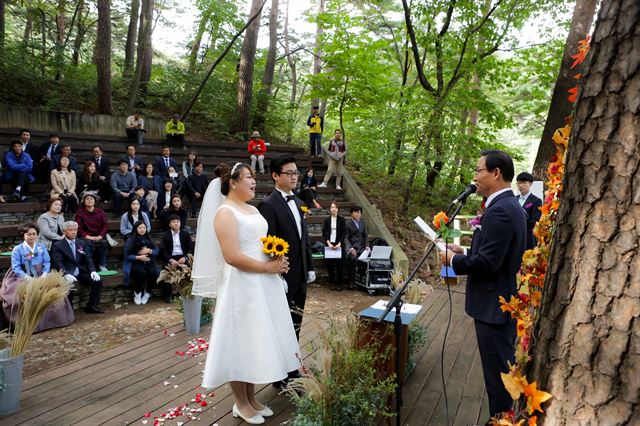 예식장 대신 휴양림, 공항, 미술관 등 이색 장소에서 결혼하려는 예비부부가 늘고 있다. 한국웨딩플래너협회 제공