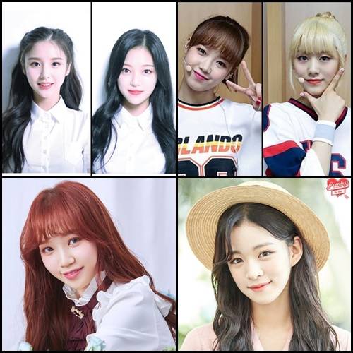 이달의 소녀 희진·현진, 위키미키 유정·루아, 이채영, 김채원(시계방향). /사진=각 소속사 제공