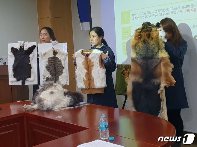 중국에서 판매되는 고양이 모피로 만들어진 조끼와 개 털가죽.© News1 김연수 기자