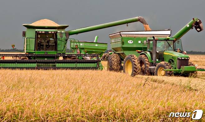 미국 농가에서 쌀을 수확하고 있는 장면 © AFP=뉴스1