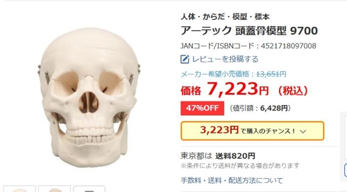 일본 인터넷 쇼핑에서 판매 중인 교육용 두개골 모형 [야후 재팬 캡처]