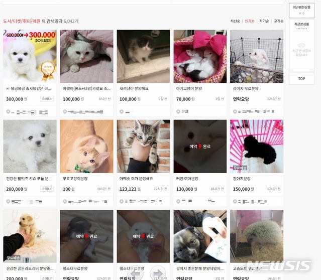 【서울=뉴시스】한 중고거래 사이트에 올라온 반려동물 판매 게시글