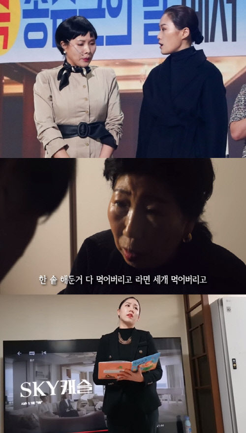 JTBC 금토극 ‘SKY캐슬’ 김서형을 패러디한 개그우먼 김니나(위에서부터), 크리에이터 박막례, 개그우먼 황신영. 사진 | KBS, 유튜브 영상 캡처