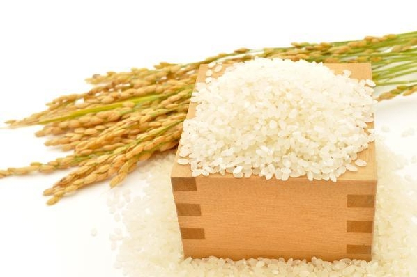 쌀밥은 여전히 한국 밥상의 주식이지만, 탄수화물 과다 섭취가 건강에 이롭지 않다며 꺼리는 이들이 늘면서 그 위상이 위협받고 있다./조선일보DB