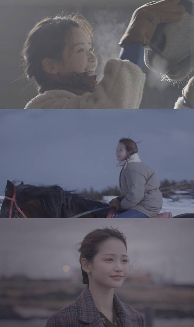 펀치