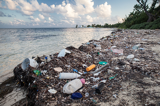 여러 연구에 따르면 플라스틱 쓰레기가 바다쓰레기의 80%를 차지한다. /사진=게티이미지