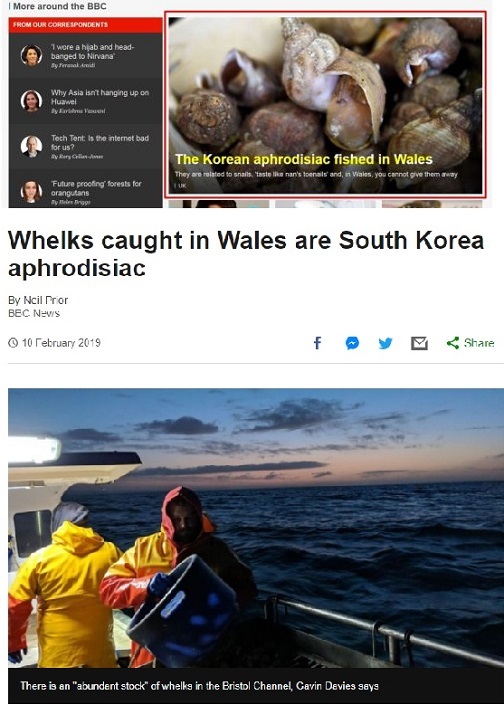 10일(현지시간) BBC 홈페이지 인기기사로 올라와 있는 한국 골뱅이 관련 기사(위)와 관련 사진. [BBC 홈페이지 캡처]