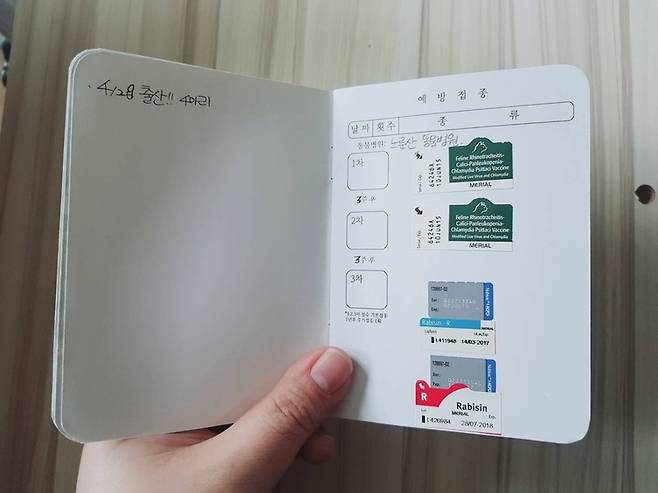고양이 ‘호두’의 여권. 사진 박한송이씨 제공