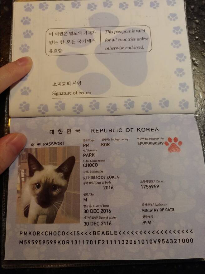 고양이 ‘쪼꼬’의 여권. 사진 박한송이씨 제공