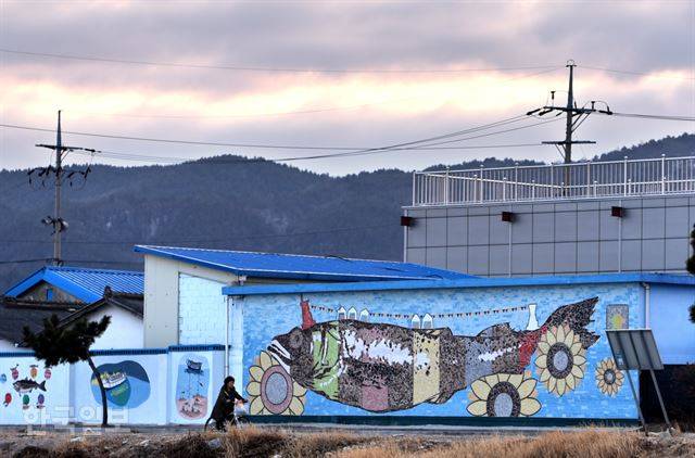 거진읍의 명태 벽화. 명태 포획이 금지돼 거진에서도 국산 명태는 찾아 볼 수 없다.