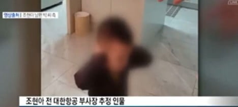 조현아 전 대한항공 부사장이 영어로 고함치자 두 손으로 귀를 막고 굳어버린 아이 _ 채널A 뉴스 화면