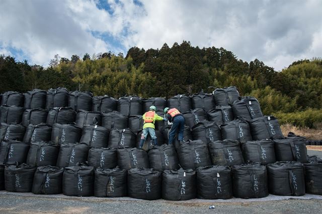 후쿠시마 제1 원자력발전소 사고 이후 5년이 지난 2016년 후쿠시마현에서 제염작업을 하는 사람들이 제염토가 담긴 검은 자루들을 정리하고 있다. 피에르 엠마뉴엘 델레트헤 프리랜서 기자 제공