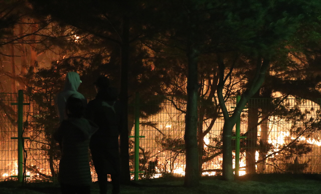 강원 고성·속초 일대에 산불이 이어지고 있는 5일 속초 교동의 한 아파트 단지에서 주민들이 불길을 바라보고 있다./연합뉴스