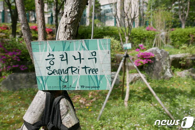 '로이킴숲', '박유천 벚꽃길' 등 사회적 물의의 중심에 있는 연예인의 이름을 사용한 시설에 지방자치단체(지자체)들이 골머리를 앓고 있는 가운데 22일 서울 강남구 역삼동의 한 근린공원에 '승리숲'의 '승리나무'를 표시하는 나무 표식이 설치돼 있다. 2019.4.23/뉴스1 © News1 황덕현 기자