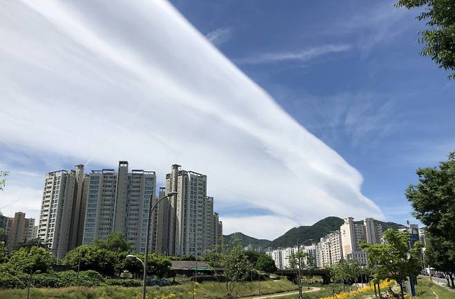 지난 28일 오전 대구 하늘에 마치 하얀 천을 펼친듯한 모습의 구름이 나타나 눈길을 끌고 있다 (사진=연합뉴스)