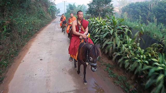 ‘왓 탐빠아차텅’ 사찰 탁발승들이 말을 타고 탁발하러 가는 모습. 하루 평균 10km씩 이동한다.