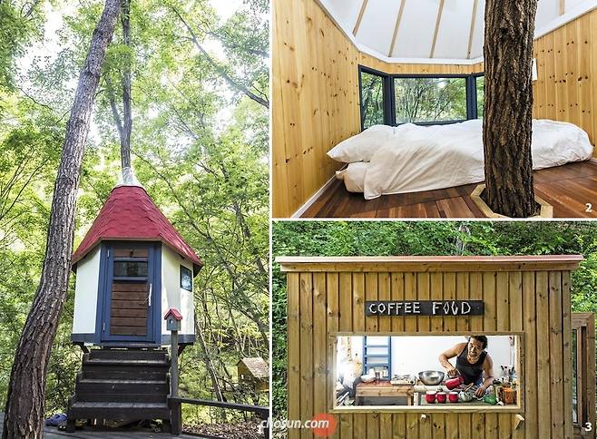 1.2 강원도 홍천 ‘까르돈’의 ‘참나무 위의 집’외부와 내부. 3 강원도 홍천 ‘까르돈’에는 숲 속 카페도 있다. /이신영 영상미디어 기자