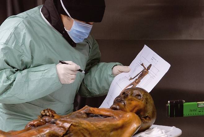 미라가 된 외치를 분석하는 학자들. South Tyrol Museum of Archaeology 제공