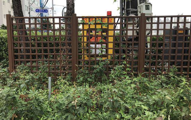 울타리나 도로 구조물로 인해 접근이 용이하지 않은 구조함도 확인됐다. 지난달 23일 오후 중랑구 중랑천변에 설치된 구조함에 울타리가 둘러 쳐져 있다.