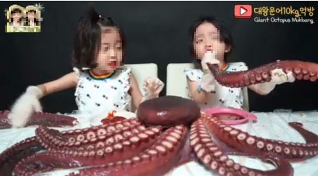 국내 유명 키즈유튜브 채널에서 지난달 1일 게시했던 6살 쌍둥이 여아의 대왕문어 '먹방' 영상. 인터넷캡처.