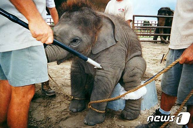 사진 동물보호단체 PETA 홈페이지 캡처 © 뉴스1