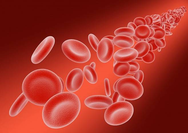 국내 연구팀이 조혈모세포의 이동에 관여하는 단백질을 찾아 골수암을 치료하는 신약 타깃을 발굴했다. 게티이미지뱅크 제공