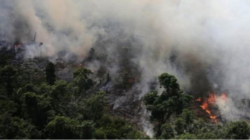 불타는 아마존 열대우림 아마존 열대우림 산불로 발생한 연기가 공공보건에도 큰 위협이 되는 것으로 지적됐다. [브라질 뉴스포털 G1]