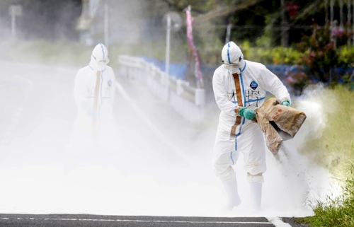 (도쿄 교도=연합뉴스) 콜레라 감염 돼지가 확인된 나가노현 시오지리시(市)의 축산시험장 주변에서 14일 석회를 이용한 방역 작업이 펼쳐지고 있다.