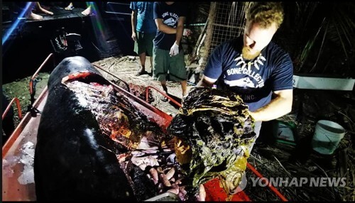 "고래 뱃속에 이런 쓰레기가" (하노이=연합뉴스) 지난 15일 필리핀 해안에서 숨진 채 발견된 고래 뱃속에서 플라스틱 쓰레기가 40㎏이나 나왔다. 사진은 이 고래를 해부한 해양생물학자 대럴 블래츌리 박사가 쓰레기를 꺼내는 모습. 2019.3.19 [페이스북 캡처·재판매 및 DB 금지] youngkyu@yna.co.kr
