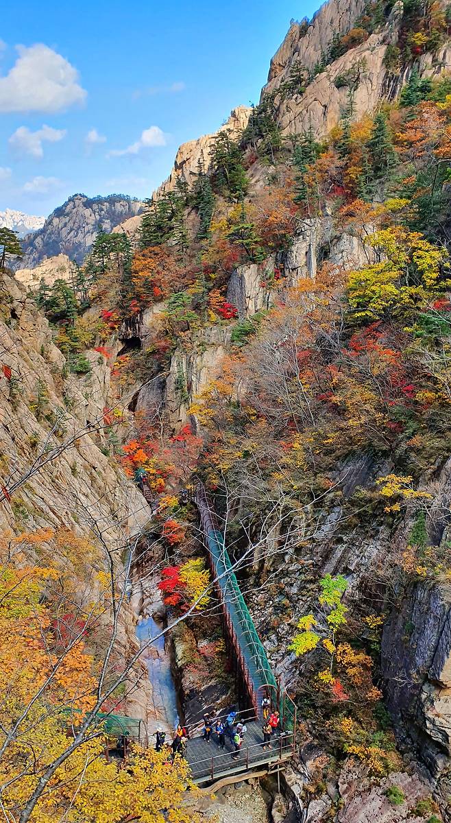 20일 강원 설악산 국립공원을 찾은 등산객들이 천불동 계곡 구간 탐방로를 걸으며 붉게 물든 단풍을 감상하고 있다. [연합뉴스]