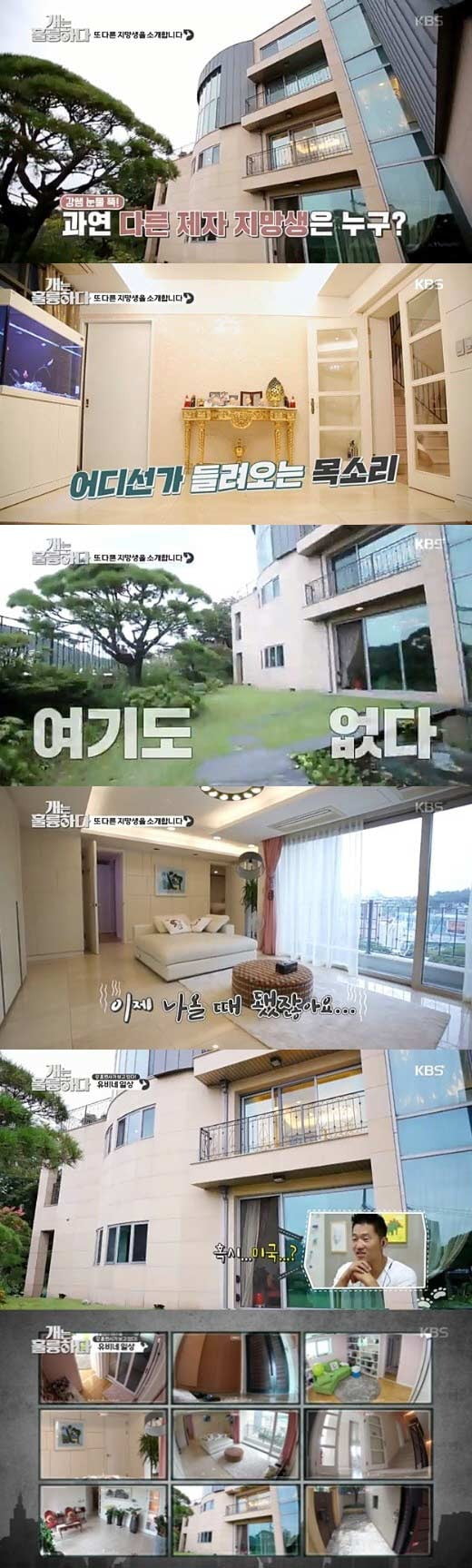 KBS2 '개는 훌륭하다' 이유비 집 /사진=KBS 방송화면 캡처