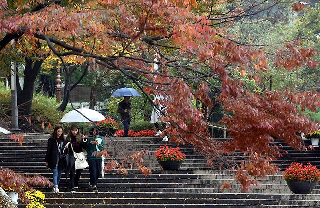 한겨울 앞뒤로 춥고 흐린 날, 혼자 걷는 길에서 나는 항상 스무살 때 봄을 떠올린다. 이제는 안다. 삶의 장면들은 결코 페이지 넘기듯 매끄럽게 이어지지는 않는다는 것을. 겨울을 알리는 비가 촉촉이 내린 대학 캠퍼스에서 학생들이 우산을 쓴 채 단풍이 짙은 교정을 걷고 있다. 신소영 기자 viator@hani.co.kr