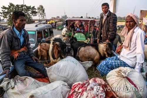 네팔 가디마이 축제에 참여하기 위해 희생 제물인 염소를 갖고 온 힌두교도. 2019.12.2 [AFP=연합뉴스]