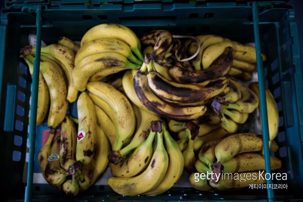 위 사진은 ‘1억 바나나’와 무관. ⓒGettyimages멀티비츠