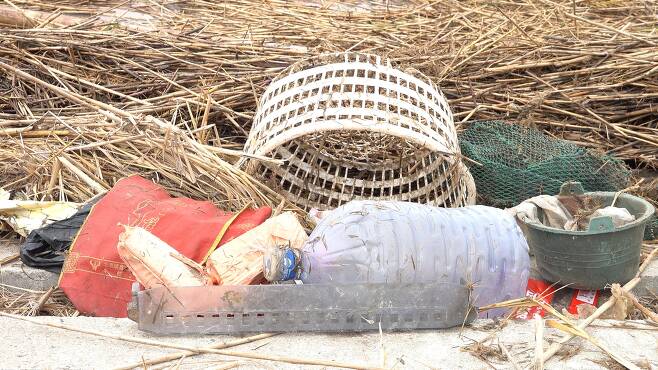 지난달 25일 상하이 인근 양쯔강 하구 난후이 지역에서 찾은 플라스틱 쓰레기들. 진창일 기자